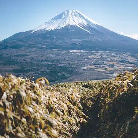 山の景色